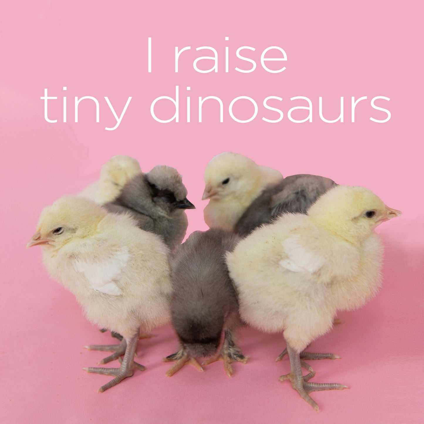 I raise tiny dinos digital download