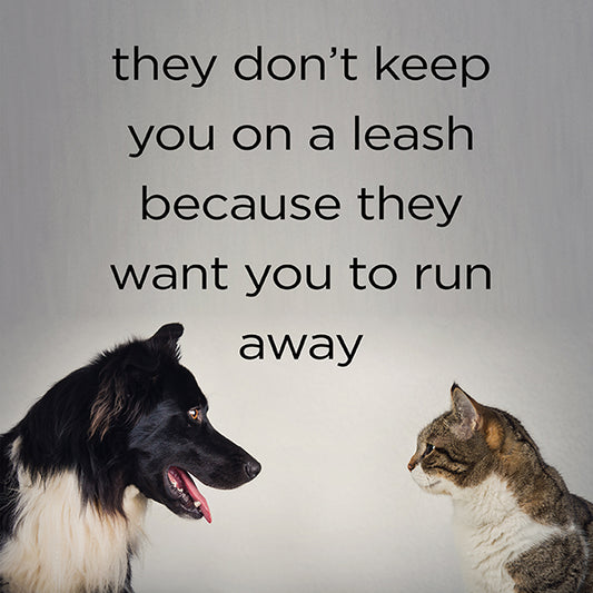 They don't keep you on a leash - digital download