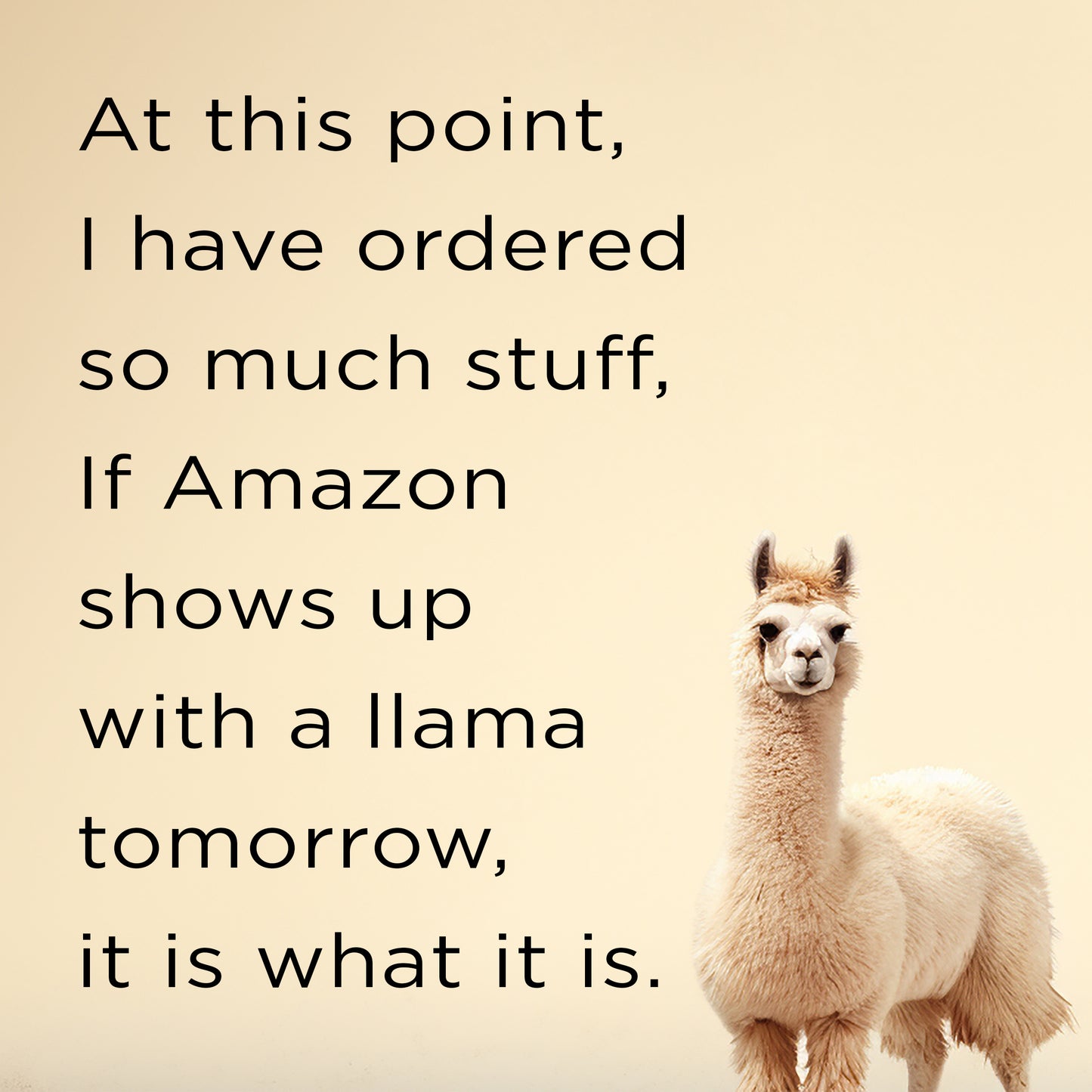 If a llama shows up - digital download