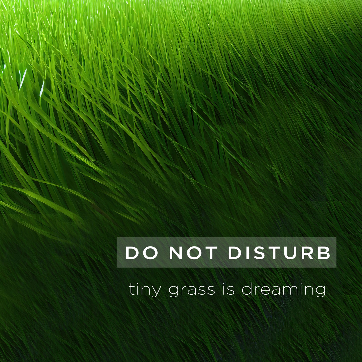 Do not disturb - digital download