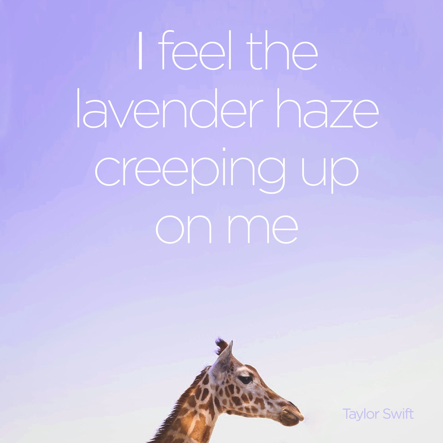 Lavender Haze - digital download (Copy)