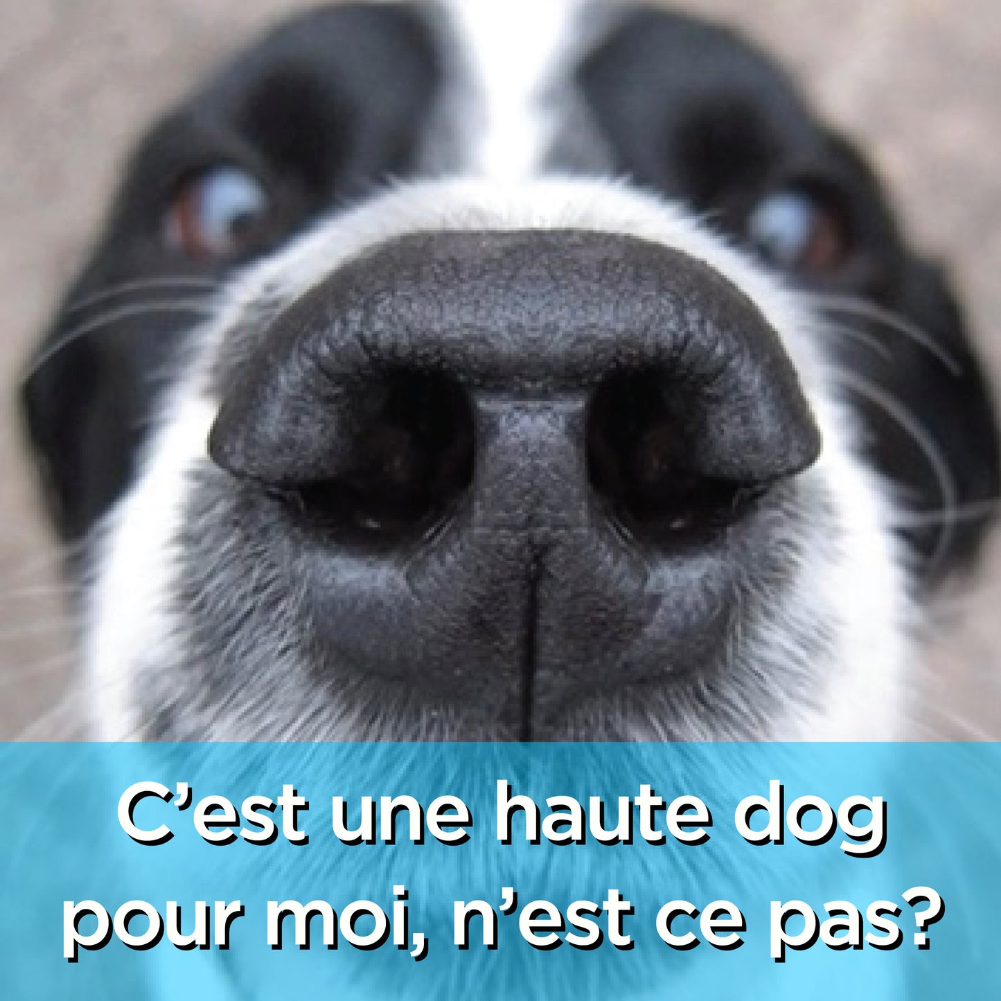 C'est une haute dog - digital download