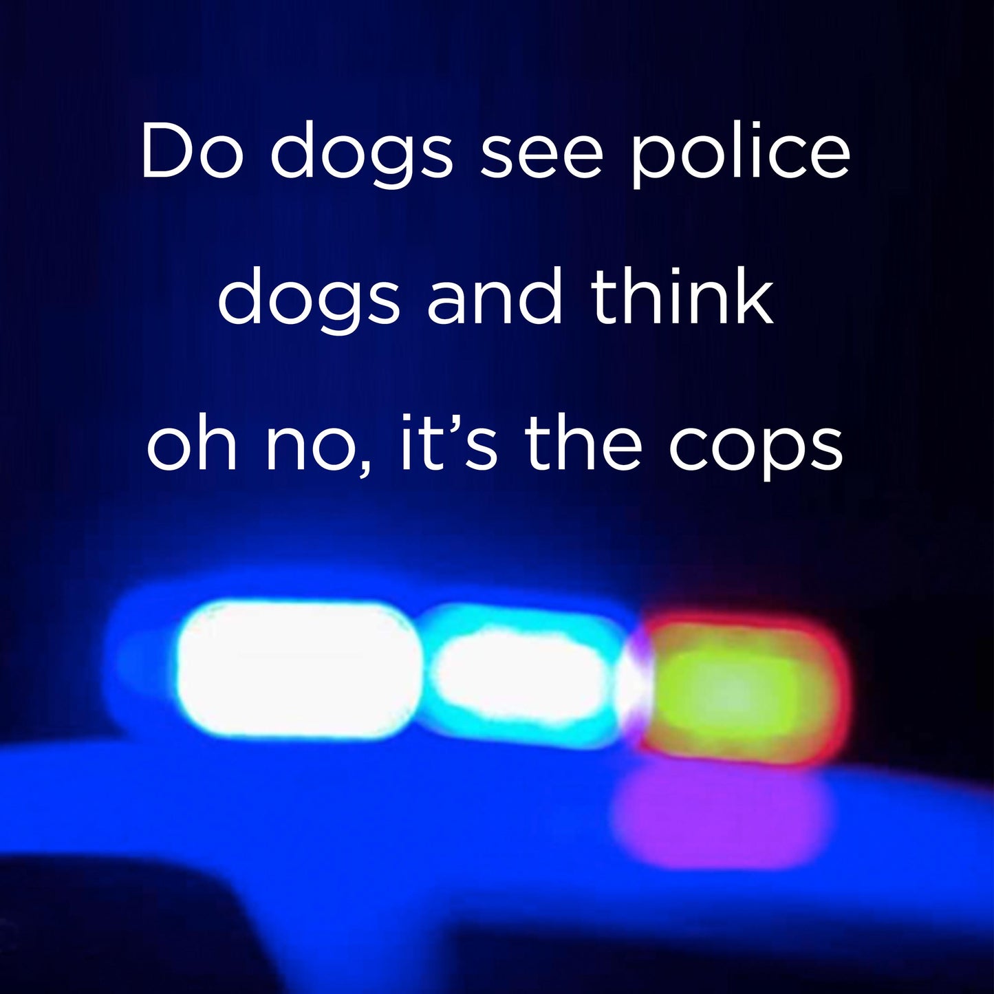 Do dogs see police - digital download