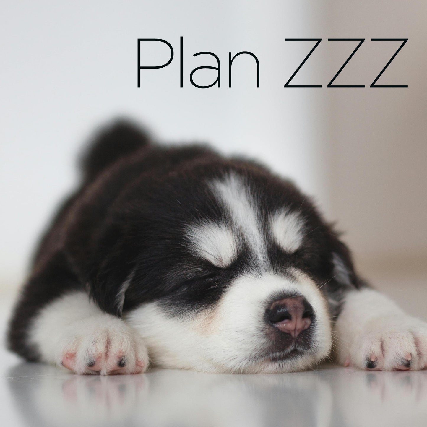 Plan ZZZZ - digital download