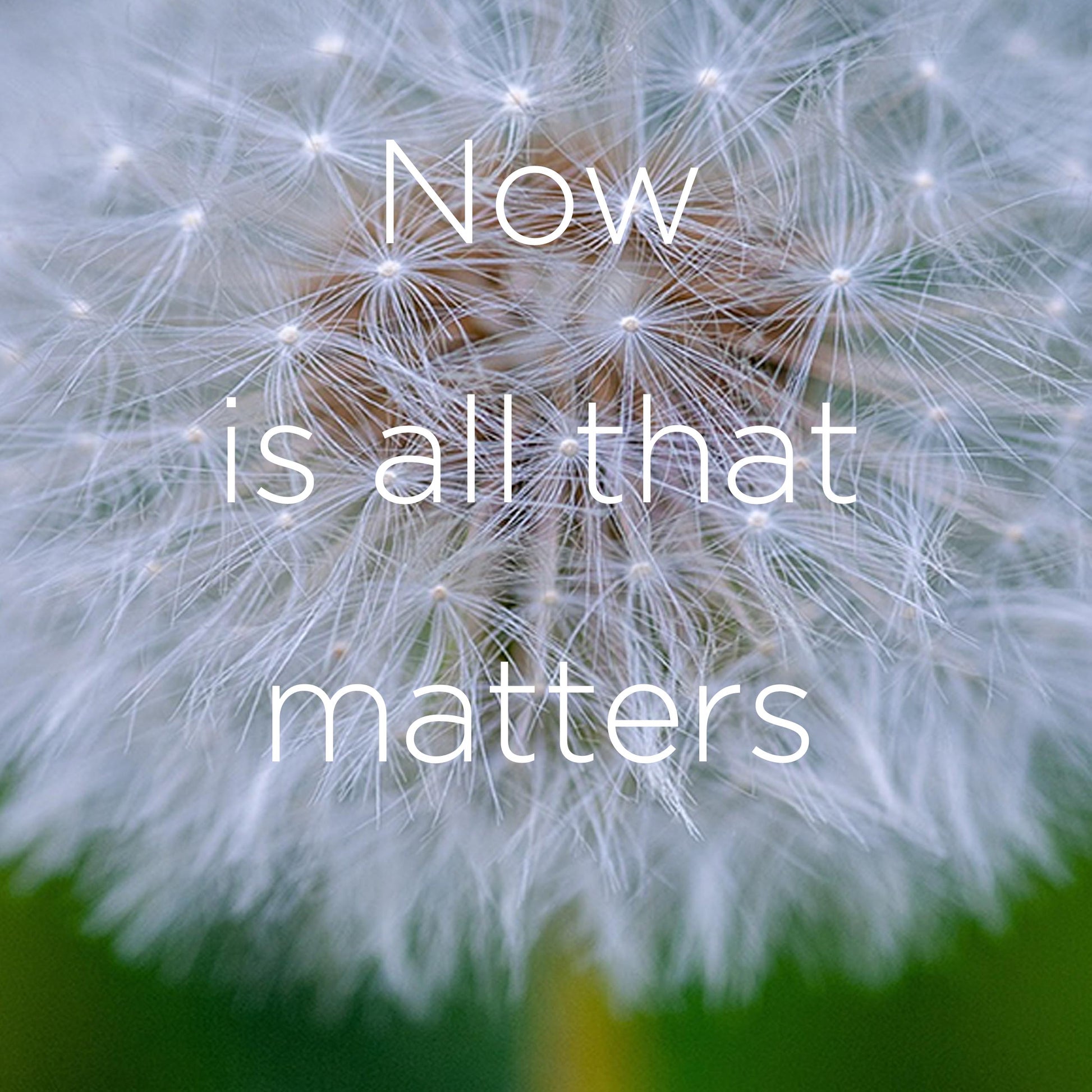 Now Is All That Matters Digital Downloads Large Digital