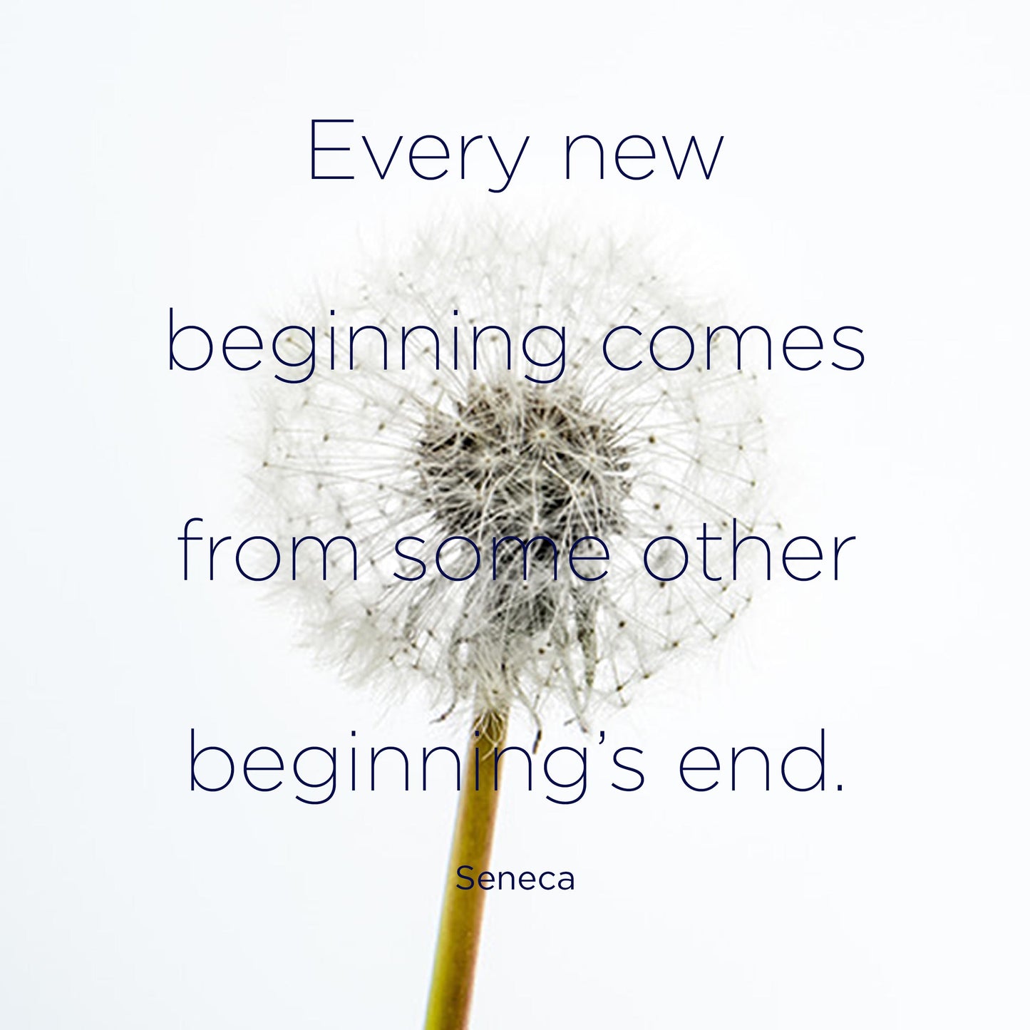 Every new beginning - digital download