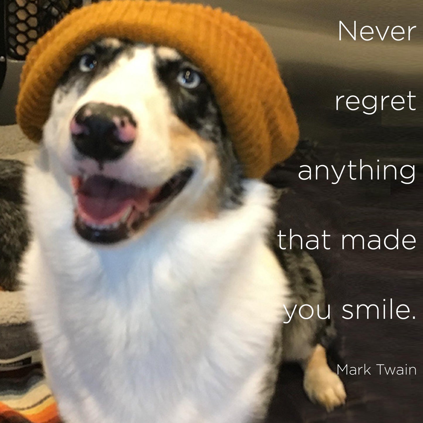 Never regret anything - digital download