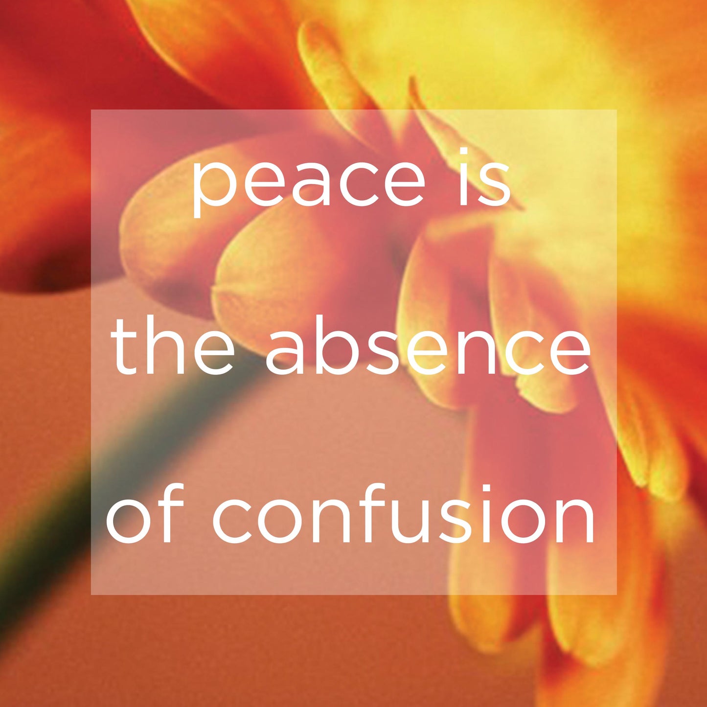 Peace is the absence - digital download