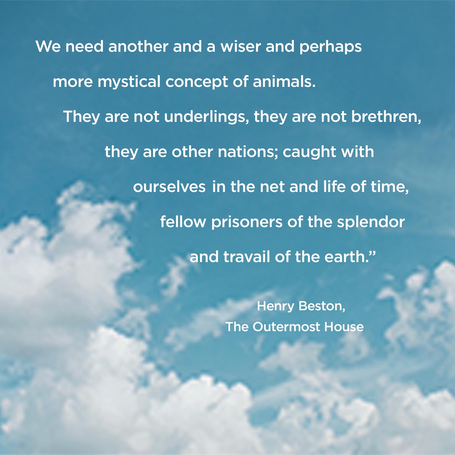 Henry Beston Quote - digital download