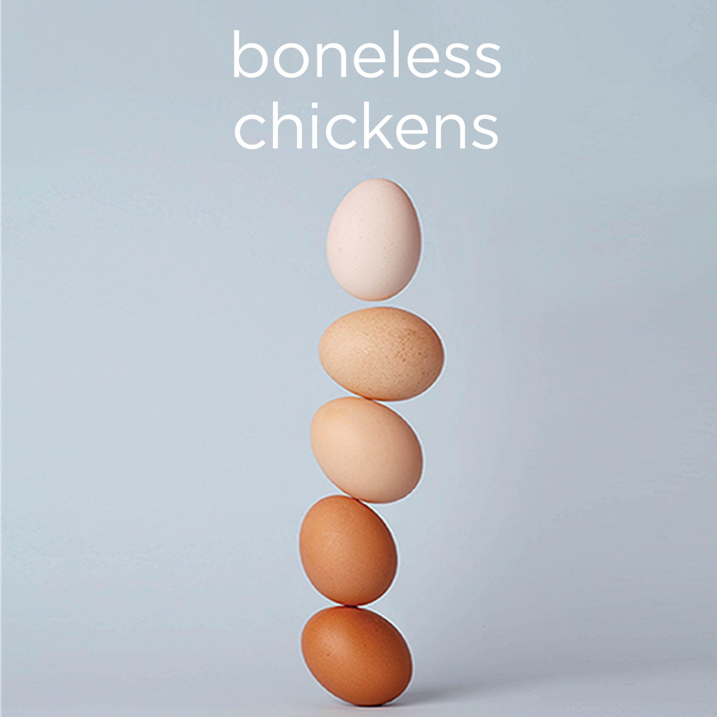 Boneless chickens - digital download