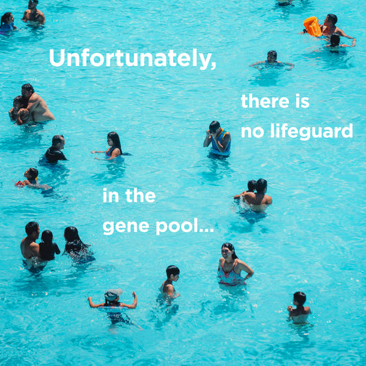 Unfortunately, there is no lifeguard - digital download