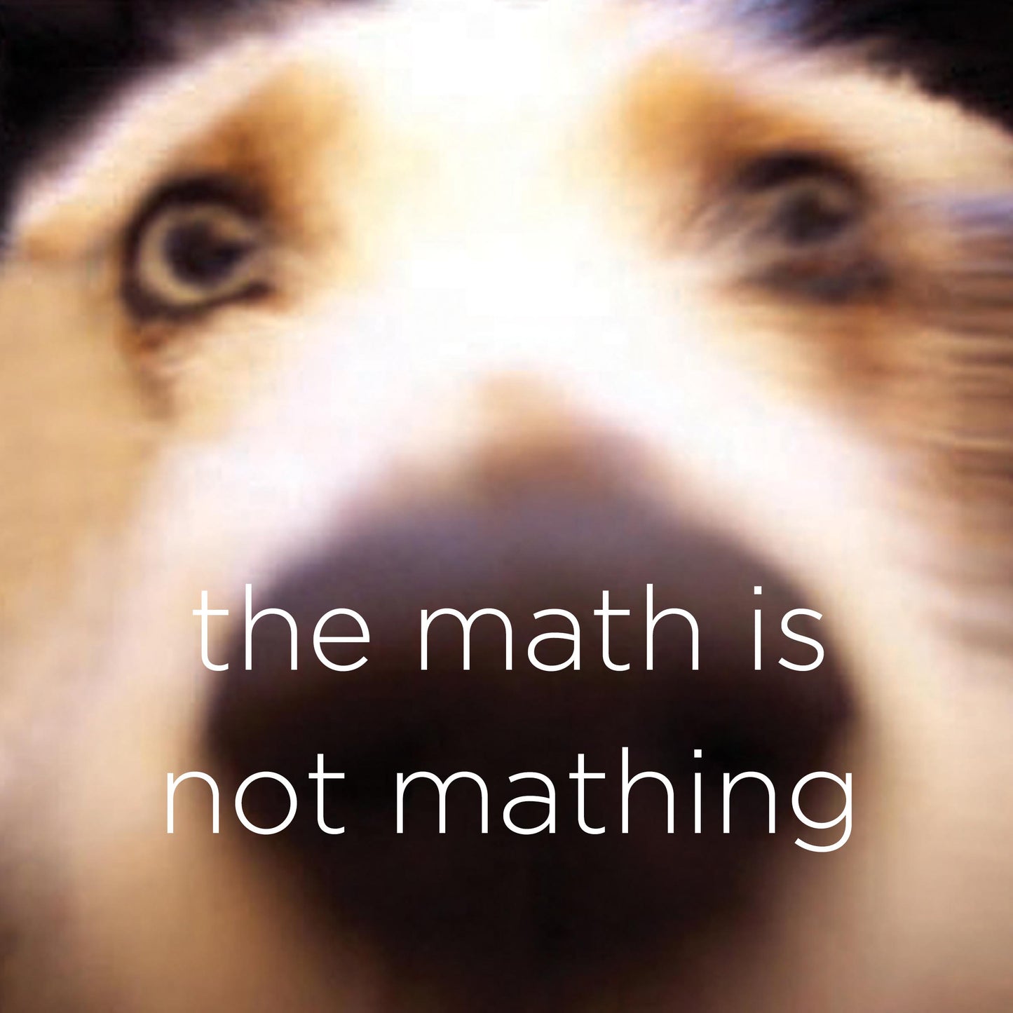 The Math is not Mathing - digital download