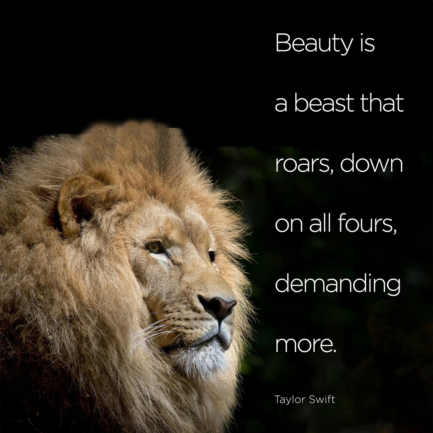 Beauty is a beast - digital download