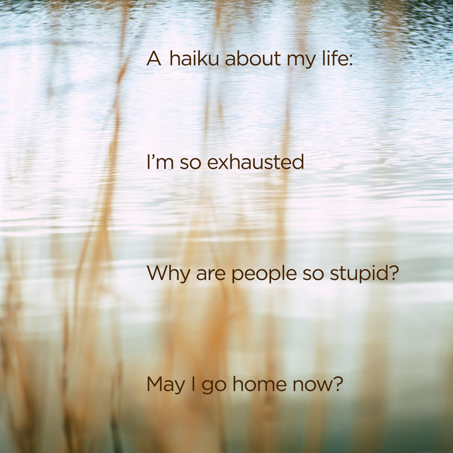 A haiku about my life - digital download