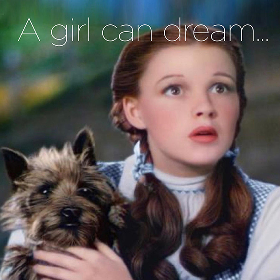 A girl can dream - digital download