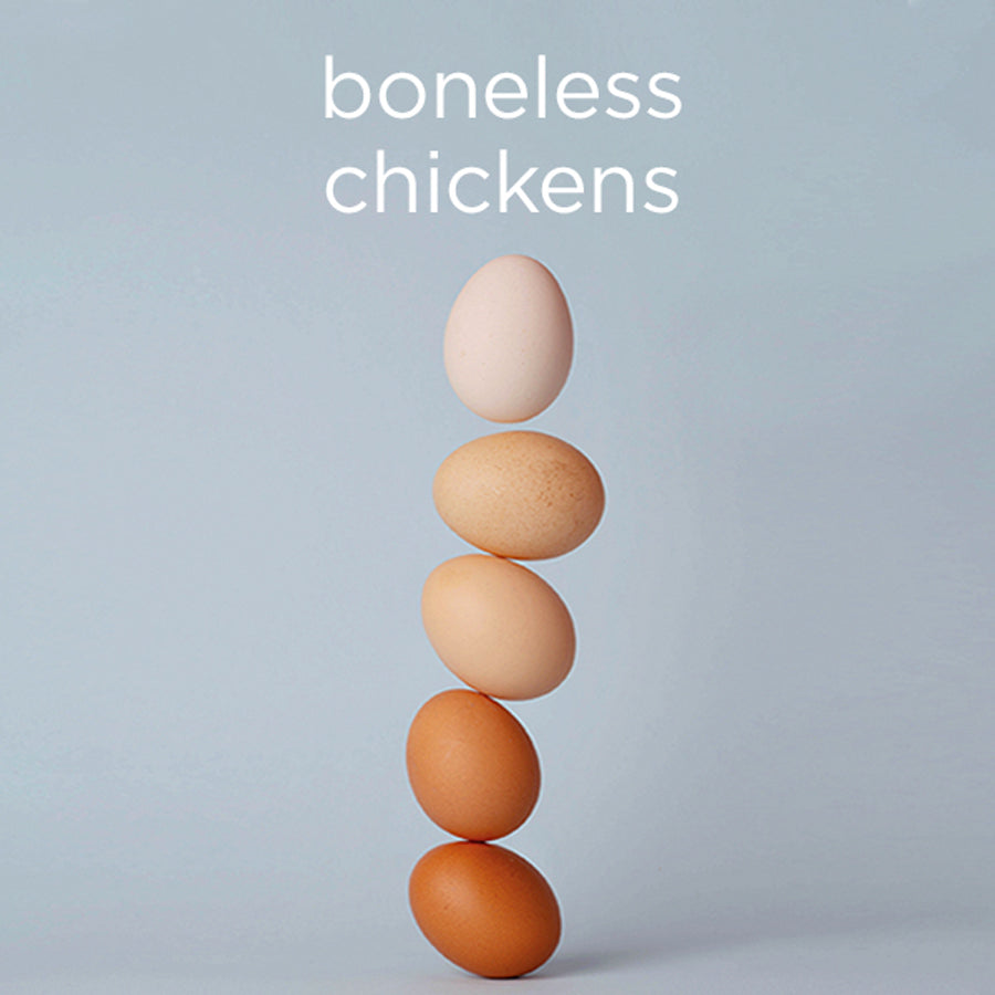 Boneless chickens - digital download