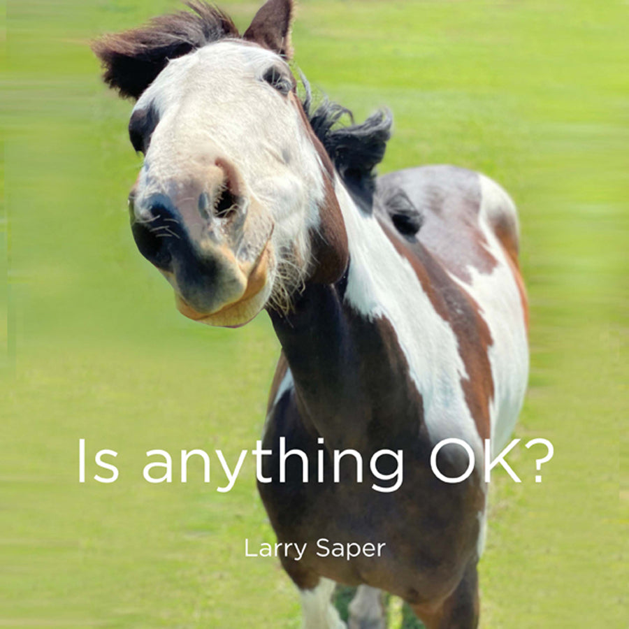 Is Anything OK digital download