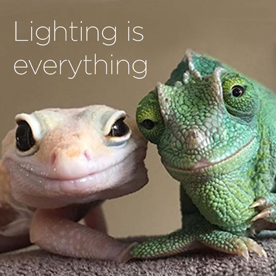 Lighting is everything - digital download