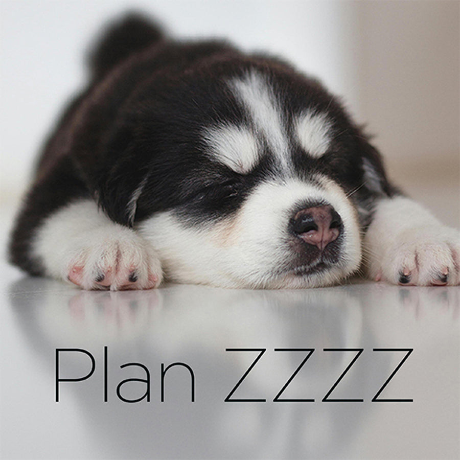 Plan ZZZZ - digital download