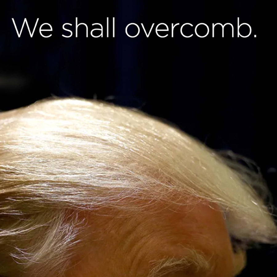 We Shall Overcomb - digital download