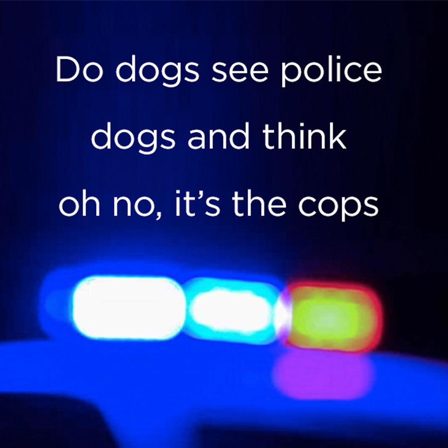 Do dogs see police - digital download