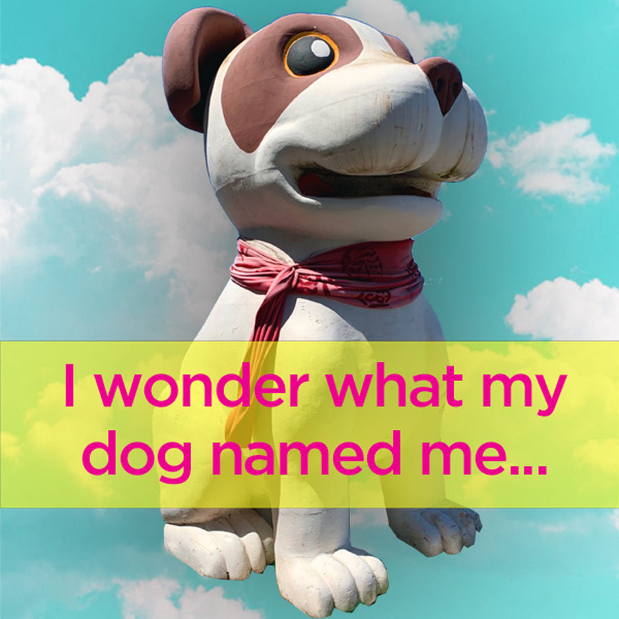 I wonder what my dog - digital download