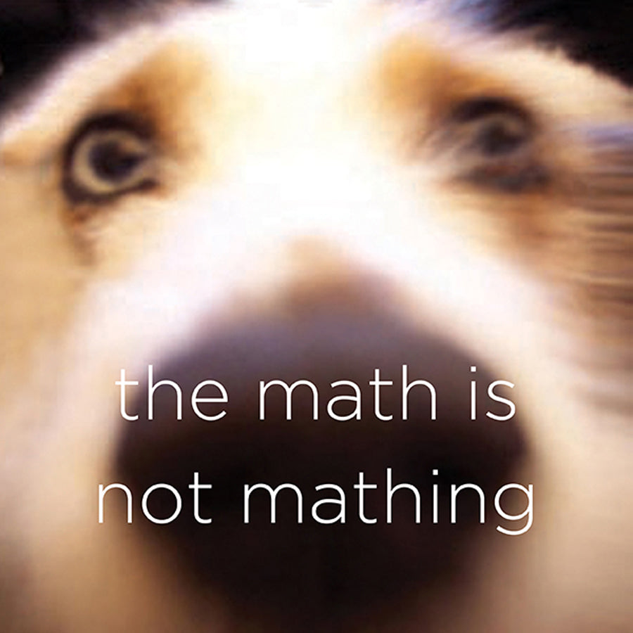 The Math is not Mathing - digital download