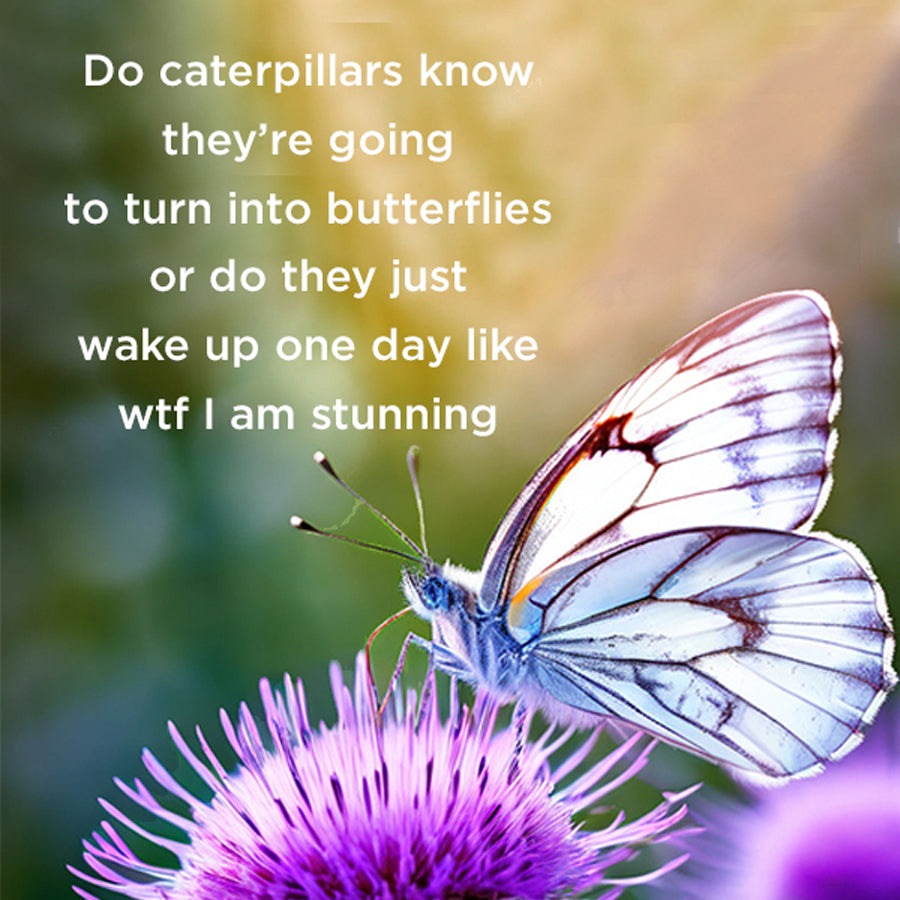 Do caterpillars know - digital download