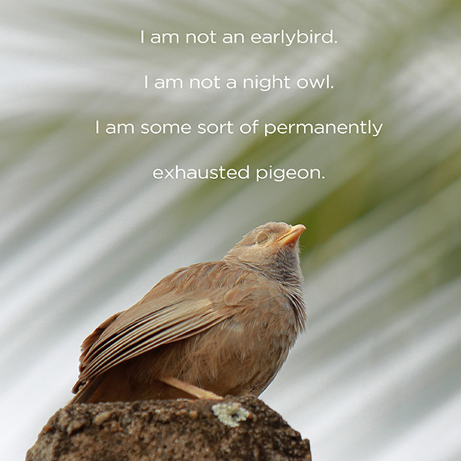 I am not an earlybird - digital download (Copy) (Copy)